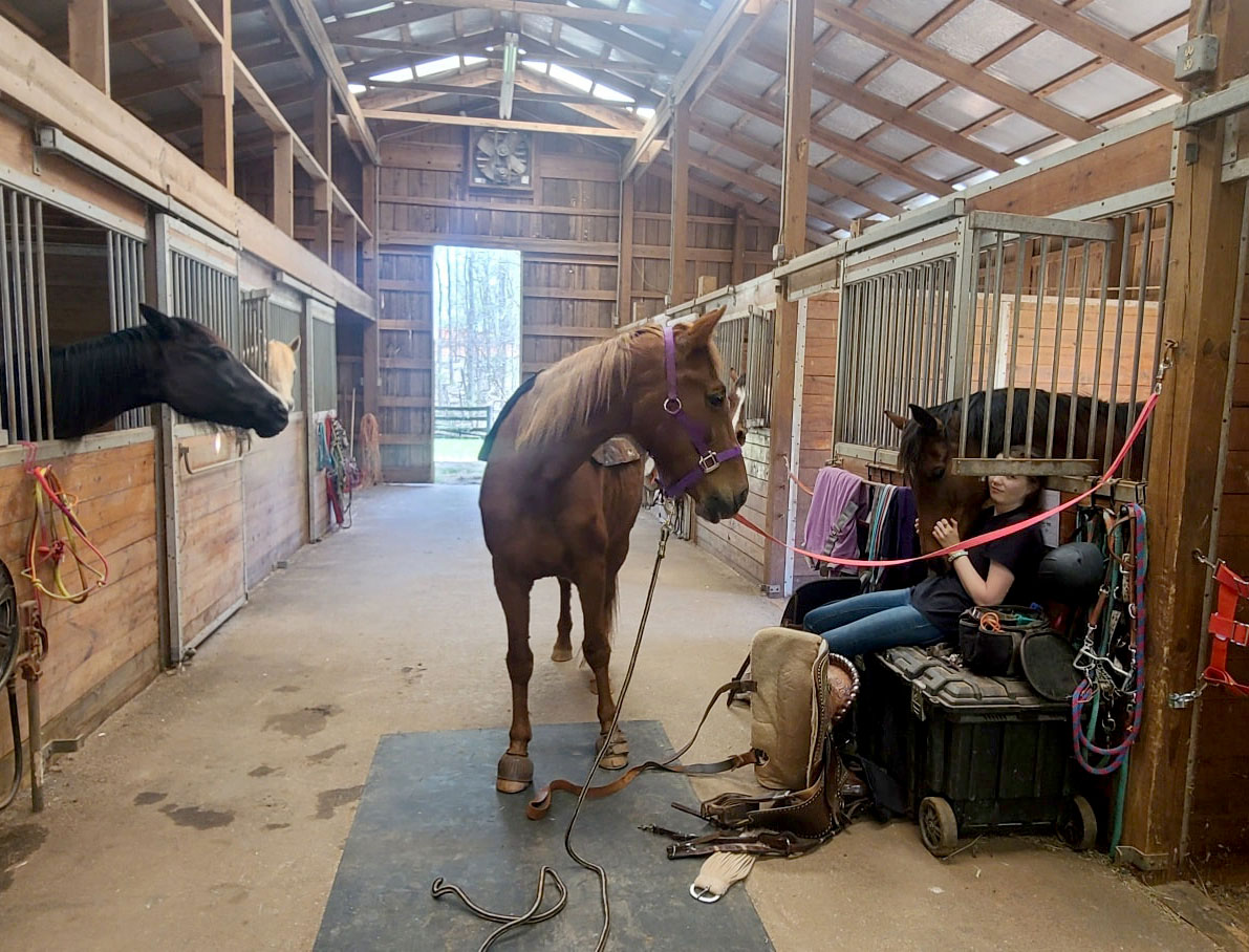 girl relaxing in barn with horses